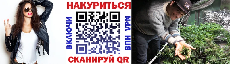купить   Пикалёво  Конопля SATIVA & INDICA 